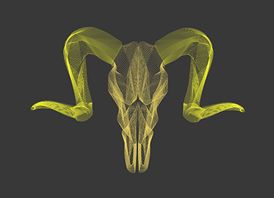 wireframe skull